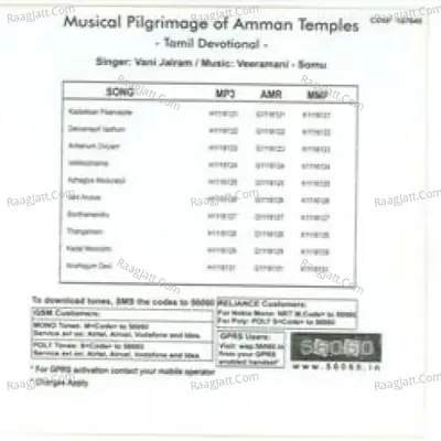 Musical Pilgrimage Of Amman Temples Vani Jairam - Vani Jairam