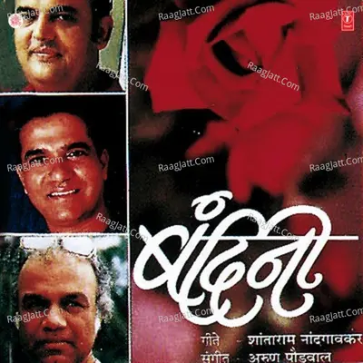 Bandini Poster
