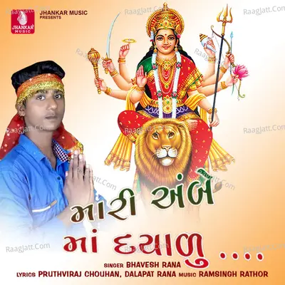 Bhavesh Rana Image