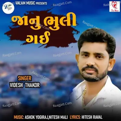 Videsh Thakor Image