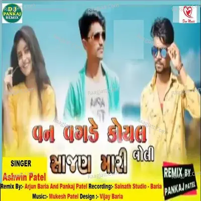 Van Vagade Koyal Boli Sajan Mari - ashvin patel
