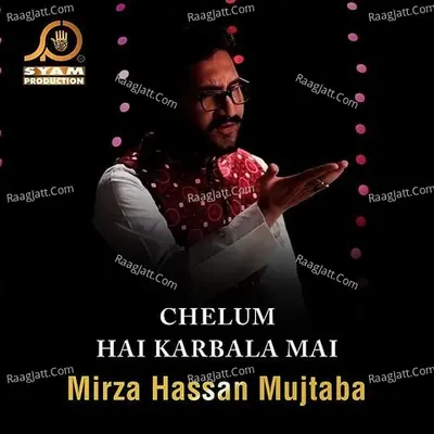 Chelum Hai Karbala Mai Poster