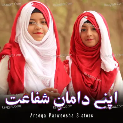 Apne Daman E Shifahat