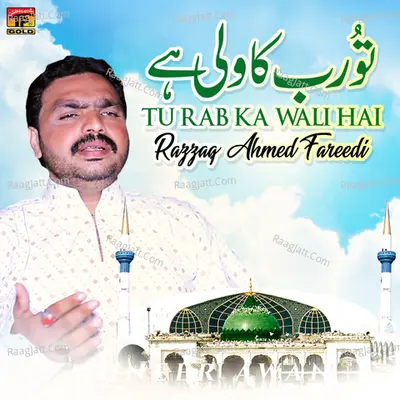 Tu Rab Ka Wali Hai - Single