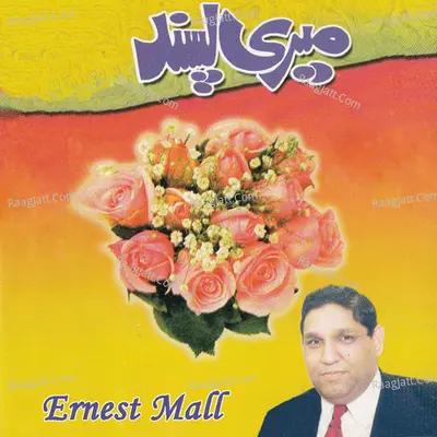 Meri Pasand - 