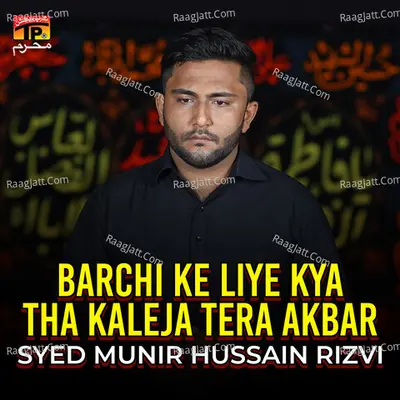 Syed Munir Hussain Rizvi