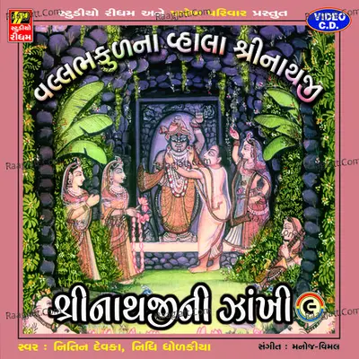 Shrinathji Ni Zakhi Part 9 - NITIN DEVKA