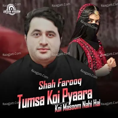 Tere Bina Kia Zindagi Hai Cover