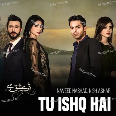 Nish Ashar Image