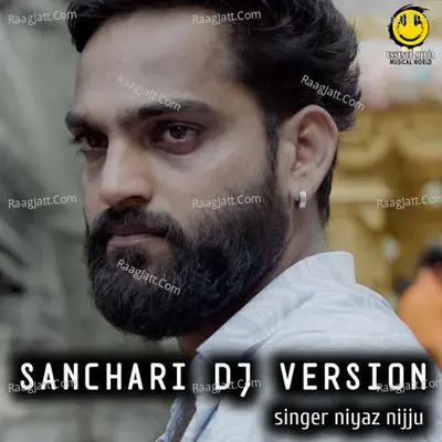 Sanchari Dj Version Cover