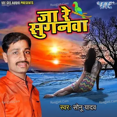Ja Re Suganwa Poster