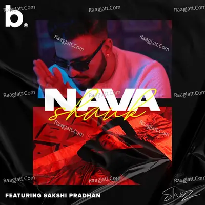 Nava Shauk Cover