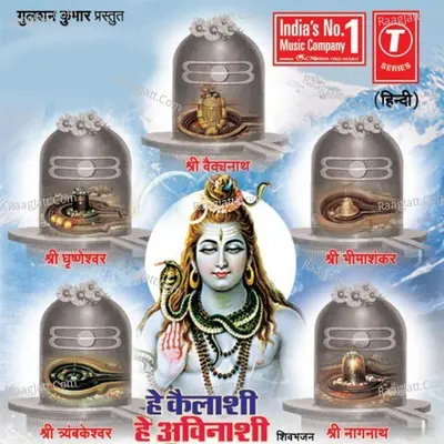 Hey Kailashi Hey Avinashi Poster