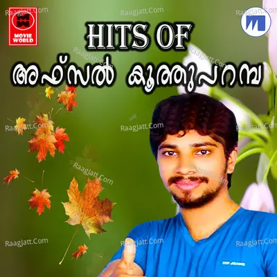 Hits Of Afsal Koothuparambu - Afsal Koothuparambu