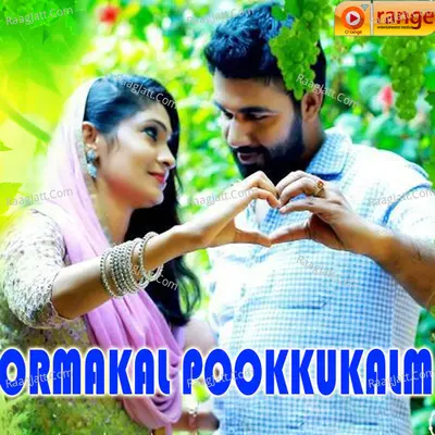 Ormakal Pookum Kaalam - Saleem Kodathoor
