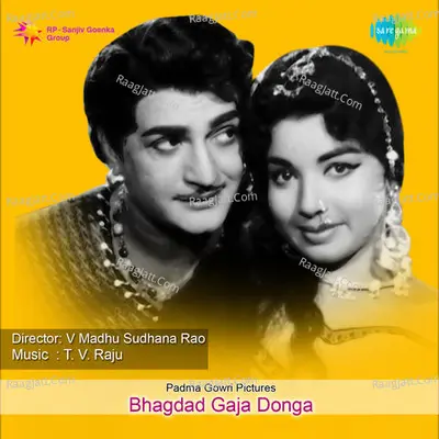 Bhagdad Gaja Donga Cover