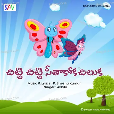 Chitti Chitti Seethakokachiluka Cover