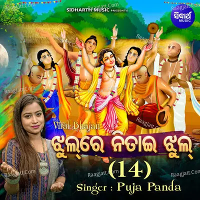 Jhul Re Nitai Jhul 14 Cover
