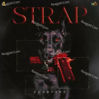 STRAP Cover