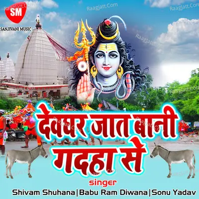 Devghar Ja Tani Gadaha Se Poster
