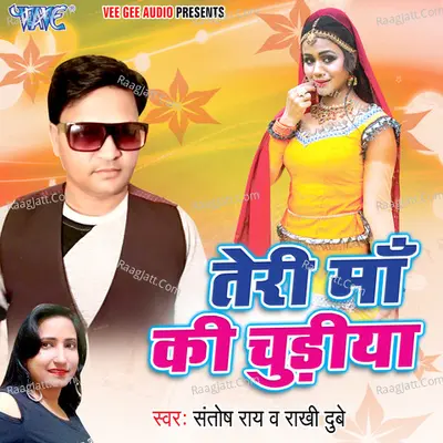 Teri Maa Ki Chudiya Cover