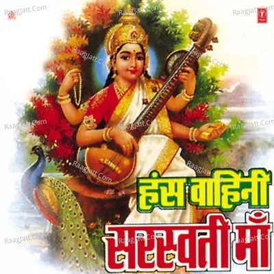 Hansvahini Saraswati Maa - Sunil Chhaila Bihari