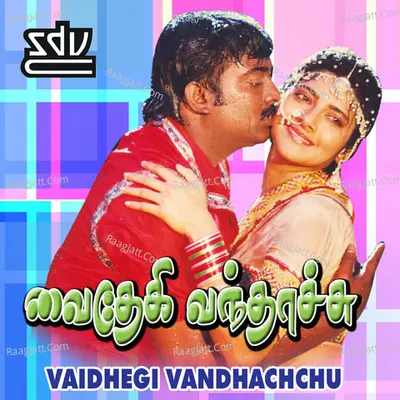 Vaidhegi Vandhachchu Poster