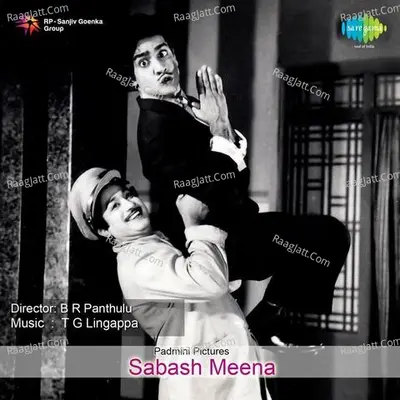 Sabash Meena Poster