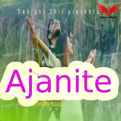Ajanite Cover