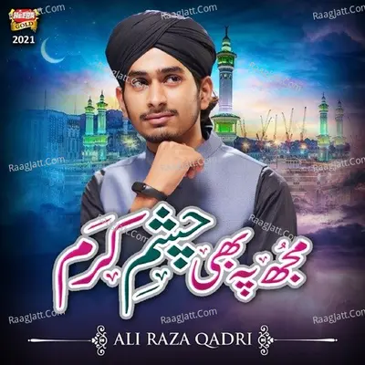 Ali Raza Qadri Image