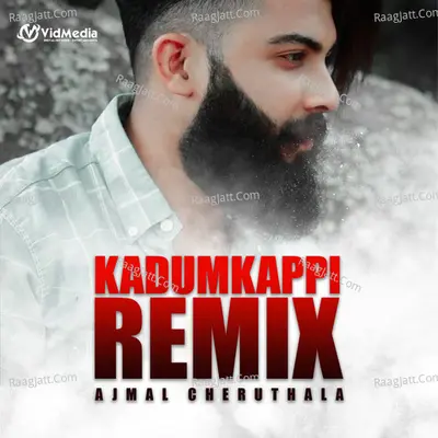 Kadumkappi Remix (Parayathe Parayunna) Cover