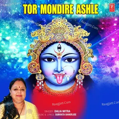 Tor Mondire Ashle Cover