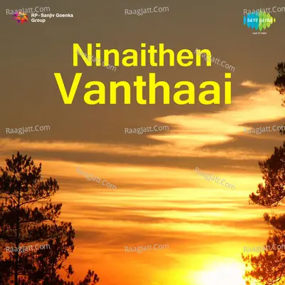 Ninaithen Vanthaai Cover