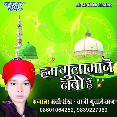Ham Gulamane Nabi Hain - Ali Shekh Tazi