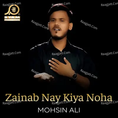 Zainab Nay Kiya Noha - Single