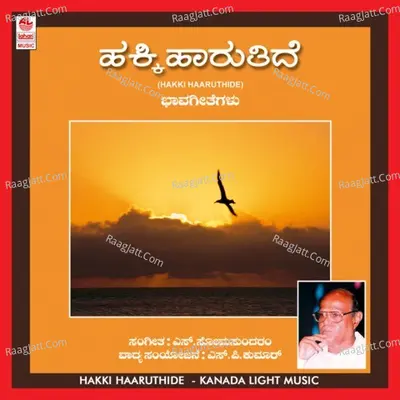 Hakki Haaruthide Poster