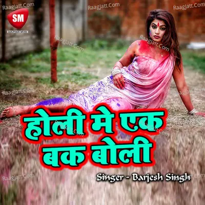 Holi Me Ak Bak Boli Poster