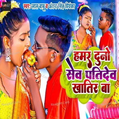 Hamar Duno Sev Patidev Khatir Ba Cover