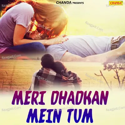Meri Dhadkan Mein Tum - Mohd. Niyaz