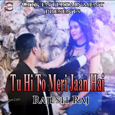Tu Hi To Meri Jaan Hai - Rajesh Raj