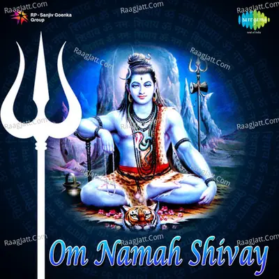 Om Namah Shivaya Shiv Dhun Poster
