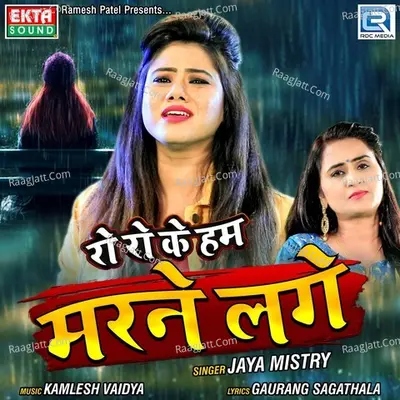 Ro Ro Ke Hum Marne Lage Cover