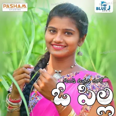 Gunde Matthadi Dhuke O Pilla Cover