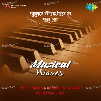 Musical Waves - Santanu Basu