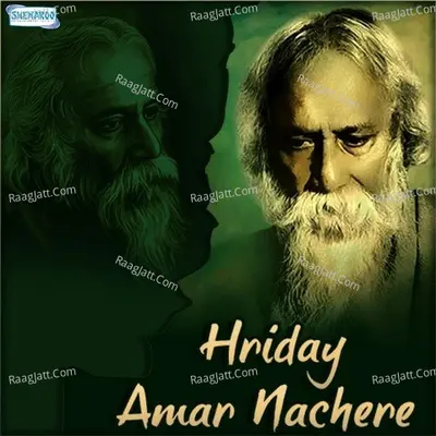 Hriday Amar Nachere - Swagato Dey