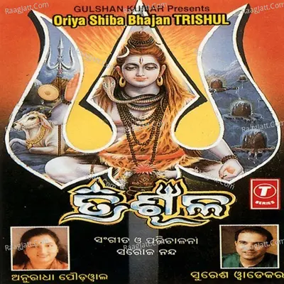 Trishul - Anuradha Paudwal
