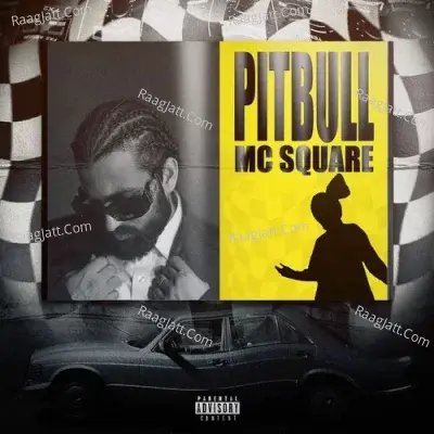 Pitbull Cover