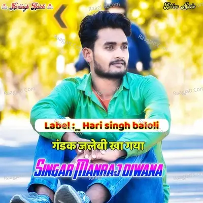 Jalebi kha gya Hari singh baloli Cover