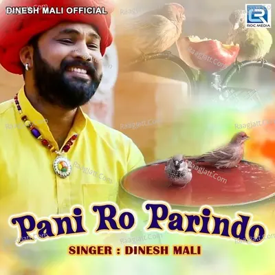 Pani Ro Parindo Cover