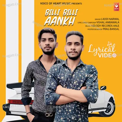 Billi Billi Aankh